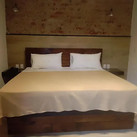 Hotel Sonno Plaza Allende-3